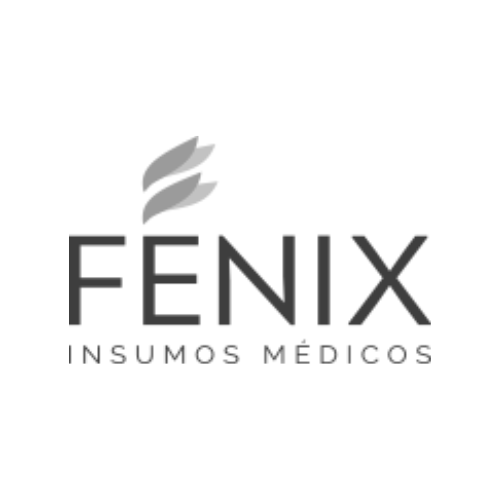 logo fenix web